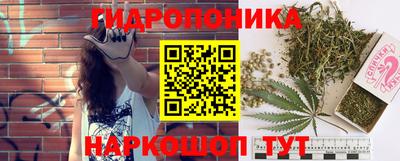 эйфоретик Кинель