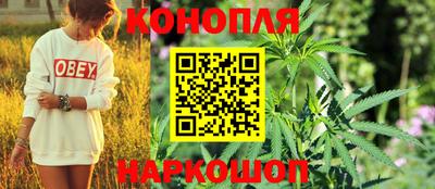 Альфа ПВП Кингисепп