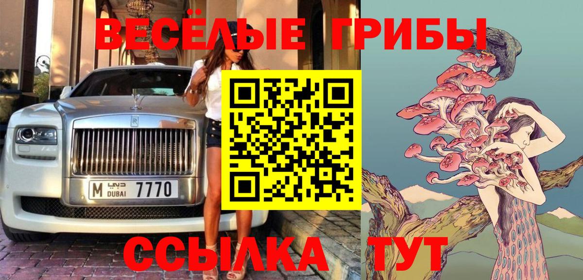 Королёв  Псилоцибиновые грибы Magic Shrooms  Вход с VPN 
