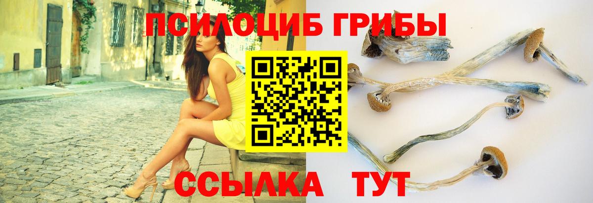 Галлюциногенные грибы MAGIC MUSHROOMS Королёв