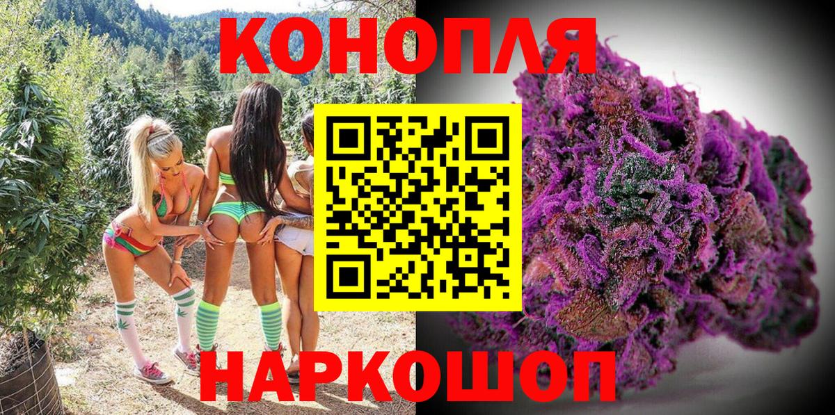 Марихуана гибрид  Бошки марихуана семена  Каннабис марихуана  Королёв  Вход с VPN 